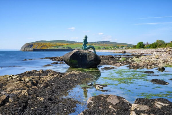 Mermaid of the North