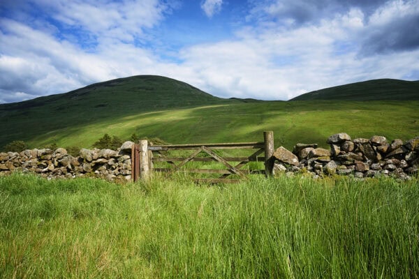 Moffat Water Valley