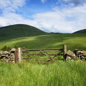 Moffat Water Valley