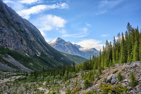 Mount Edith Cavell