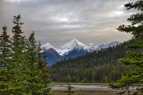 Mount King