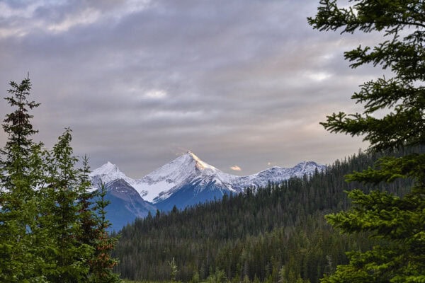 Mount King