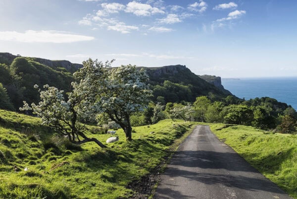 Murlough Bay