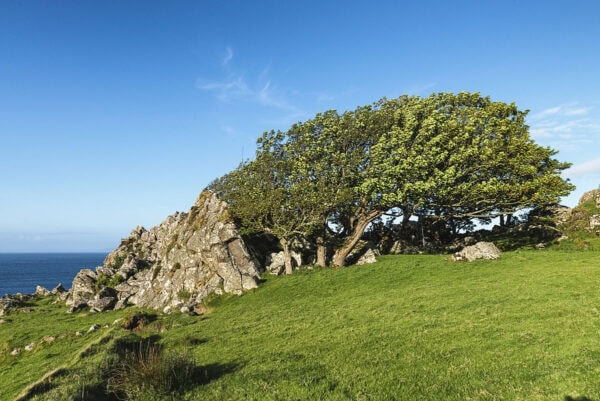 Murlough Bay