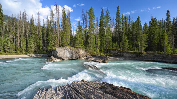 Natural Bridge Lower Falls