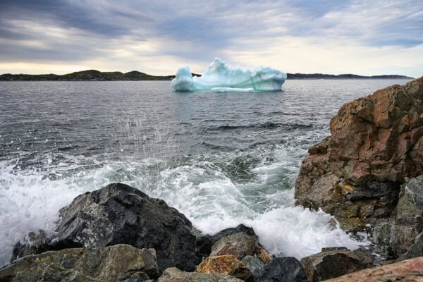 Iceberg