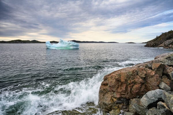 Iceberg