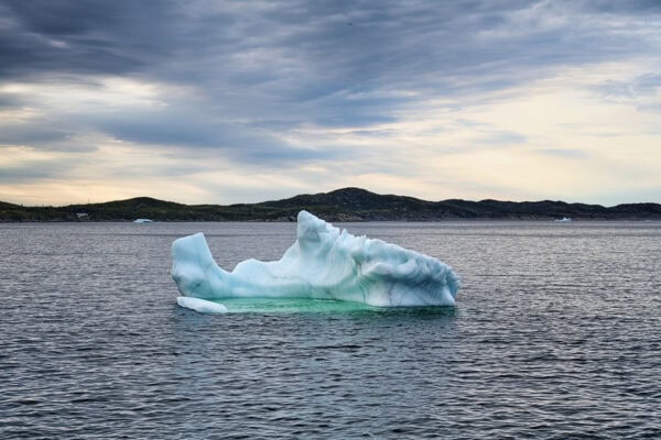 Iceberg