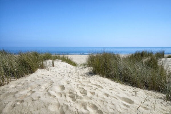 Old Bawn Beach