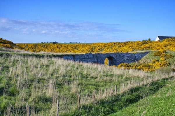 Old Bridge