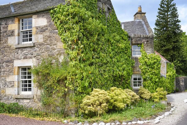 Old House