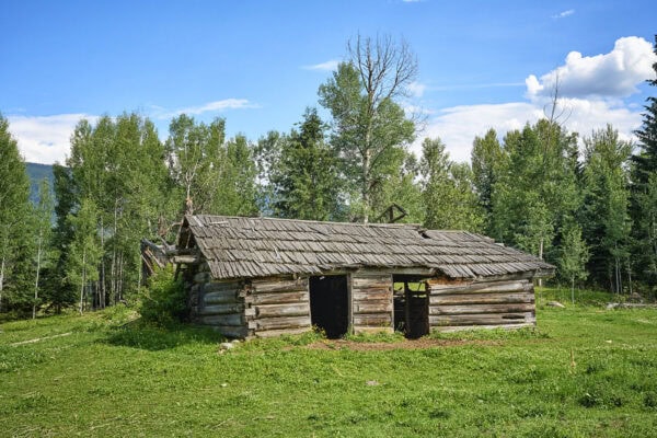 Old Shed