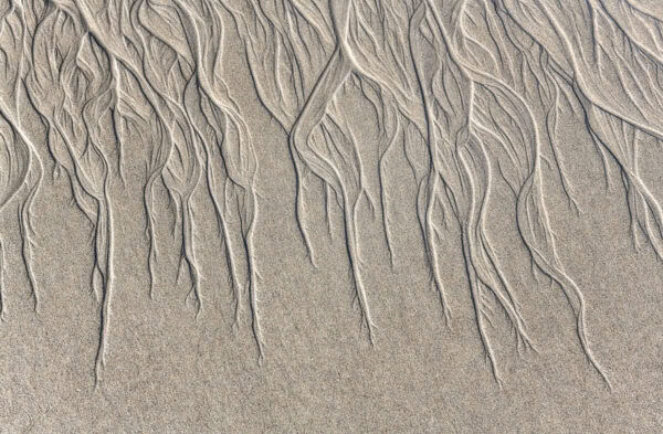 Long Strand