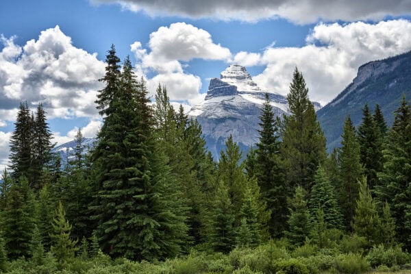 Pilot Mountain