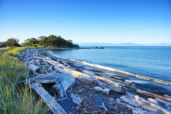 Pipers Lagoon