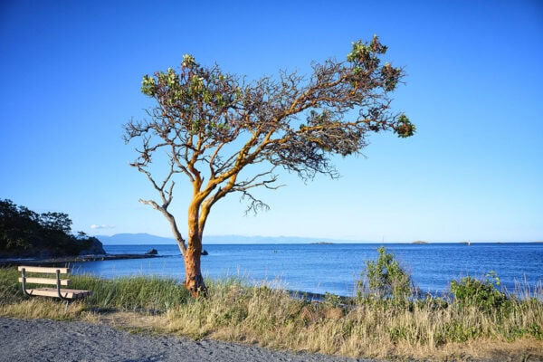 Pipers Lagoon
