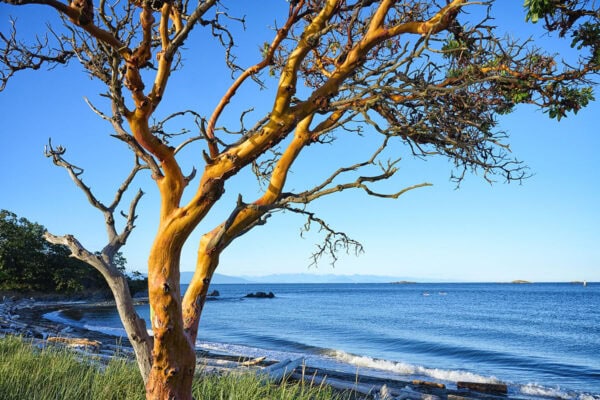 Pipers Lagoon
