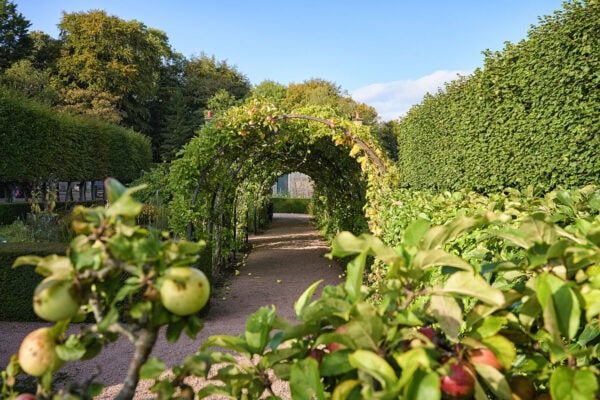 Pitmedden Garden