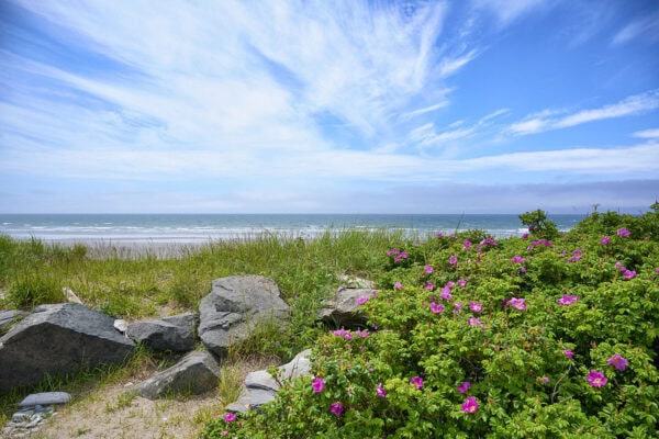 Port Maitland Beach