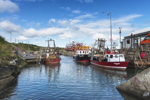 Port Oriel