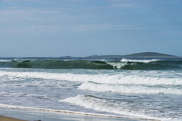 Portacarn