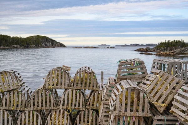 Purcell's Harbour