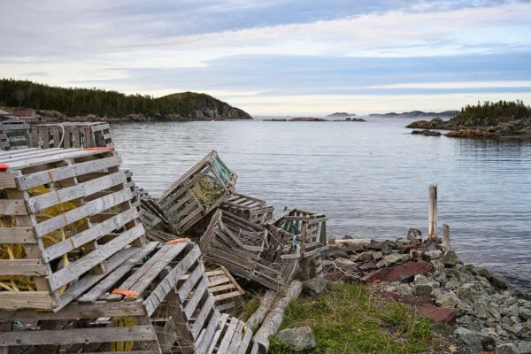 Purcell's Harbour