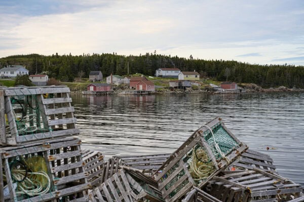 Purcell's Harbour