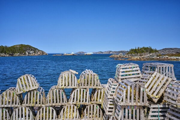 Purcell's Harbour