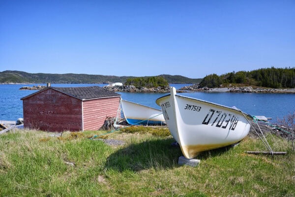 Purcell's Harbour