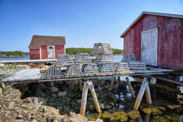Purcell's Harbour