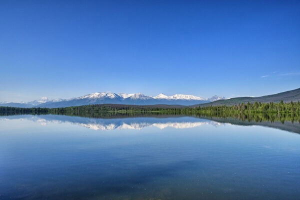 Patricia Lake