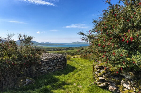 Reenconnell Hill