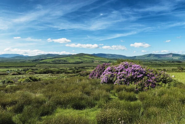 Ring Of Kerry