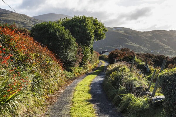 Ring of Kerry