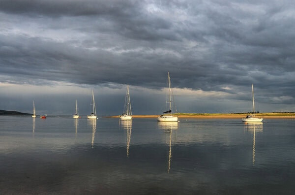 Rogerstown Estuary