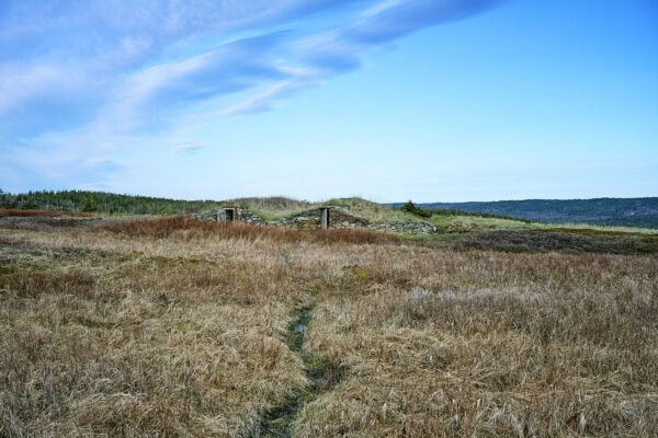 Elliston