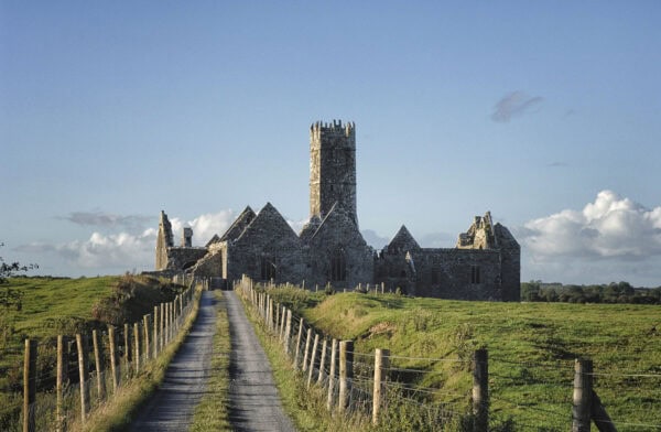 Ross Errilly