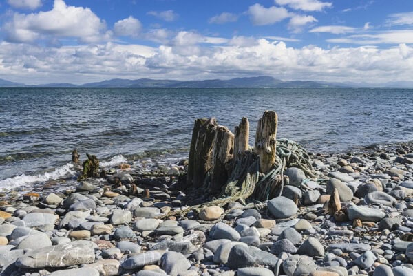 Salterstown Pier