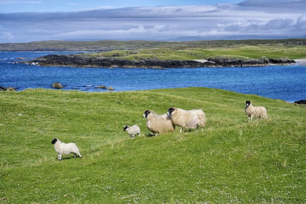 Sanaigmore Bay