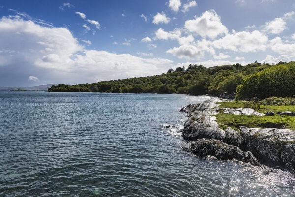Seal Harbour