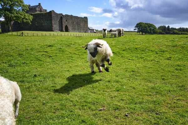 Skipness Castle