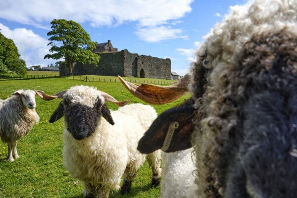 Skipness Castle