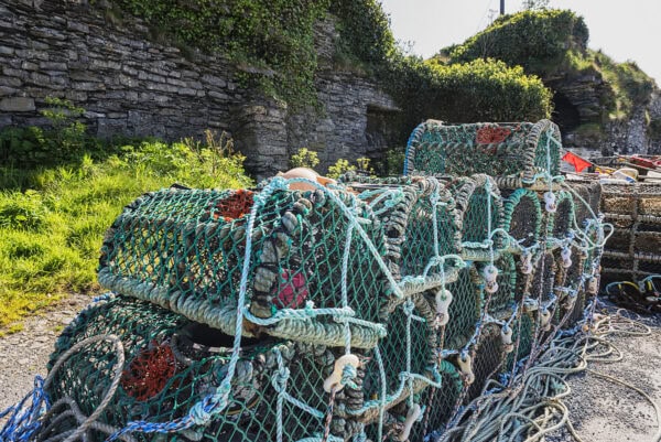 Slade Harbour