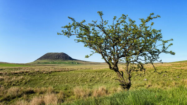 Slemish