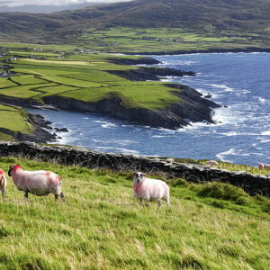 St Finian's Bay