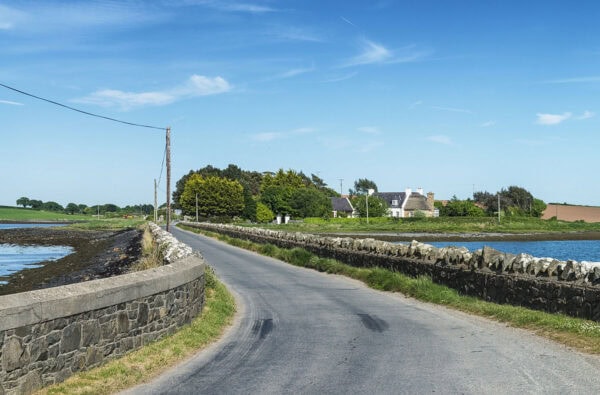 Strangford Lough