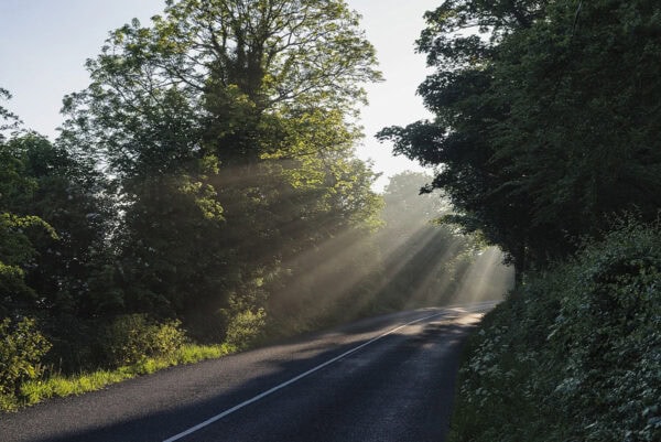 Sunbeams