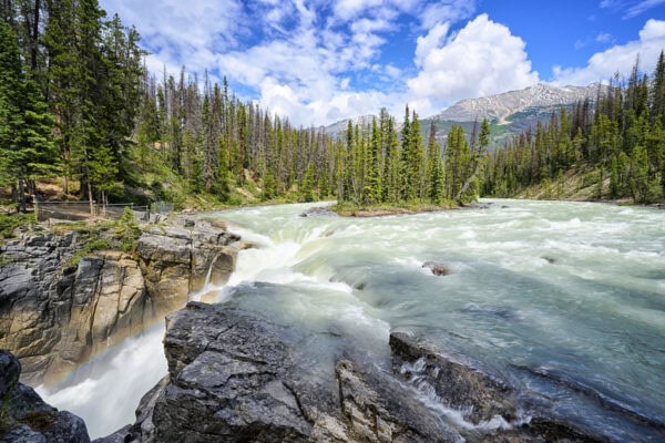 Sunwapta Falls