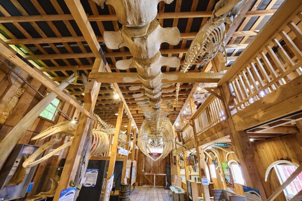 Telegraph Cove